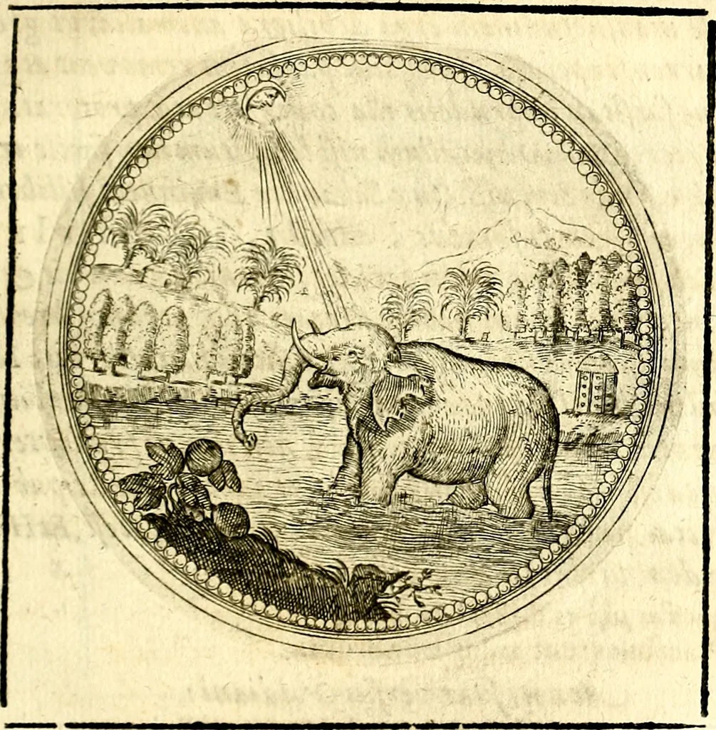 An illustration from Symbolor & emblematum ... centuria una [-quarta], 1661, leaf 208