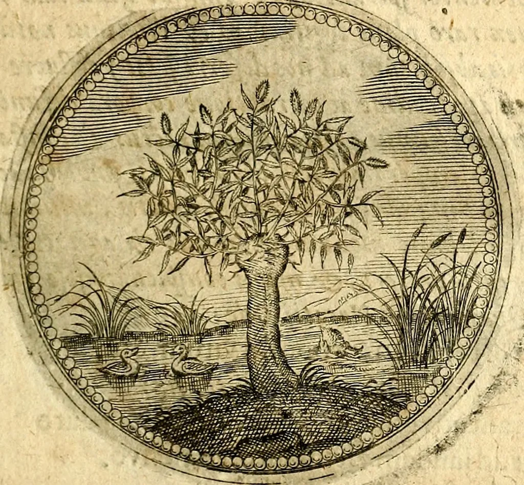 An illustration from Symbolor & emblematum ... centuria una [-quarta], 1661, leaf 24