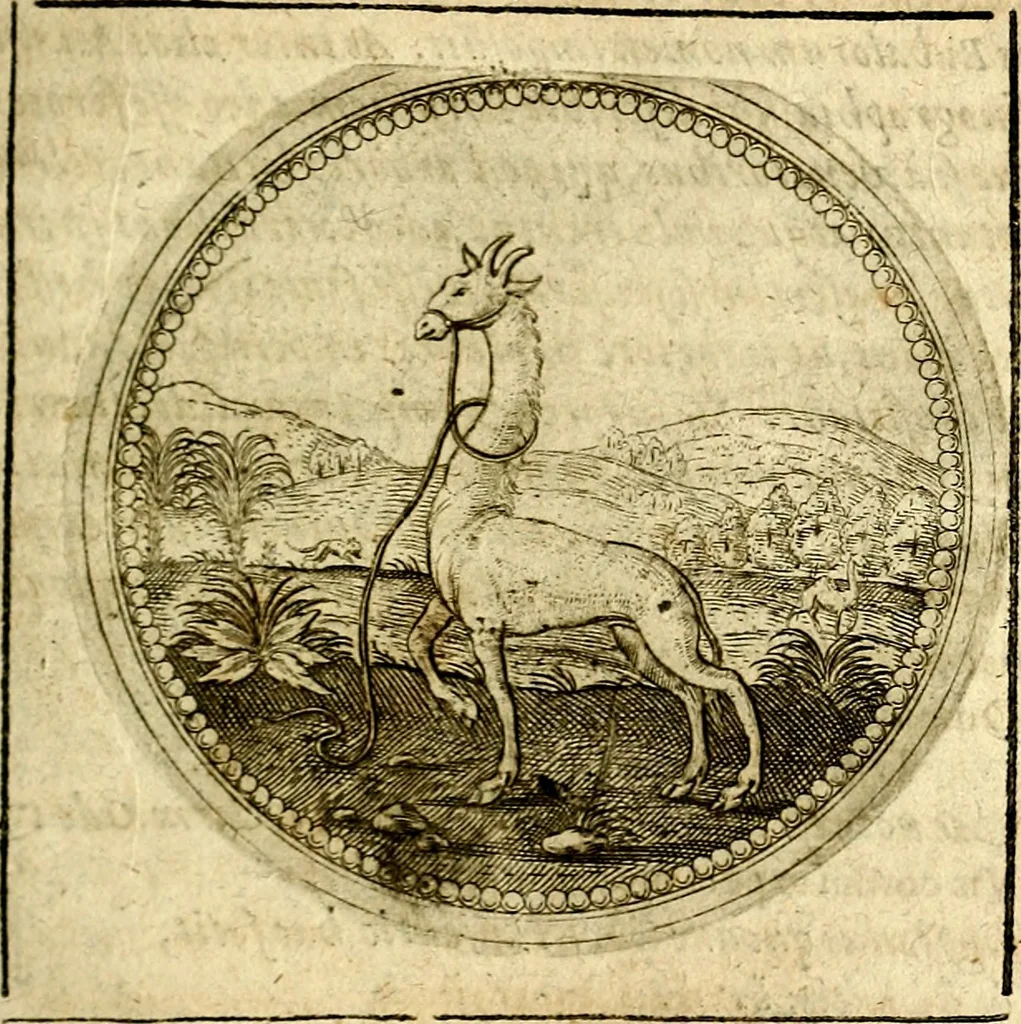 An illustration from Symbolor & emblematum ... centuria una [-quarta], 1661, leaf 242