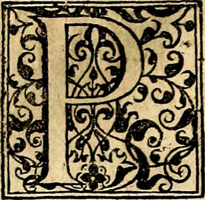 An illustration from Symbolor & emblematum ... centuria una [-quarta], 1661, leaf 257