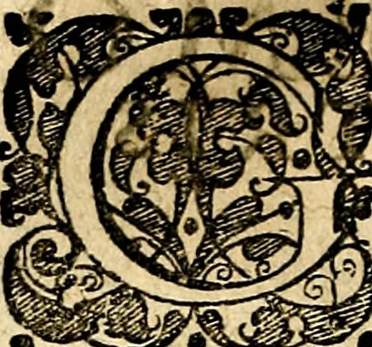 An illustration from Symbolor & emblematum ... centuria una [-quarta], 1661, leaf 263