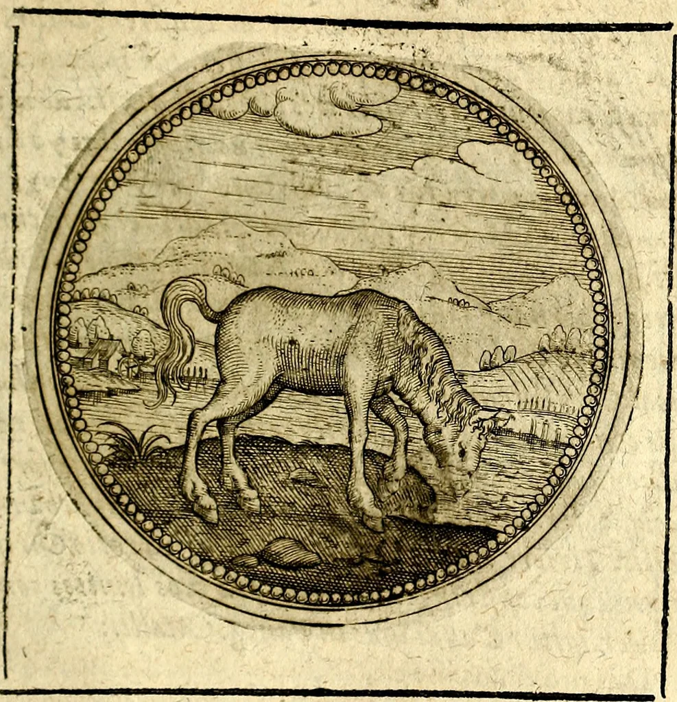 An illustration from Symbolor & emblematum ... centuria una [-quarta], 1661, leaf 266