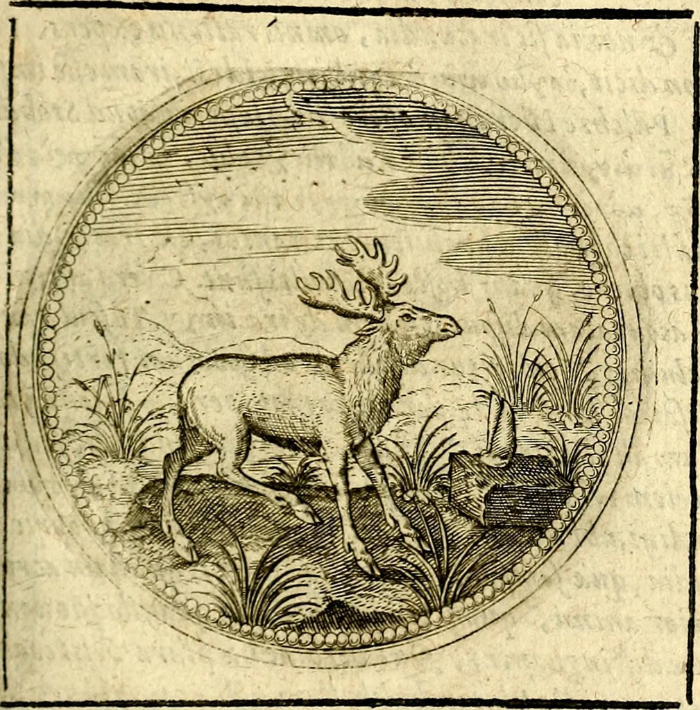 An illustration from Symbolor & emblematum ... centuria una [-quarta], 1661, leaf 298