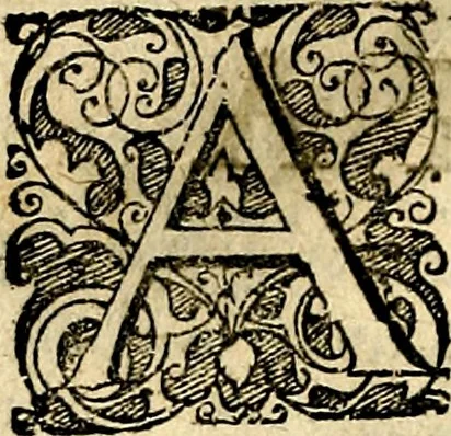 An illustration from Symbolor & emblematum ... centuria una [-quarta], 1661, leaf 299