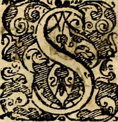 An illustration from Symbolor & emblematum ... centuria una [-quarta], 1661, leaf 303