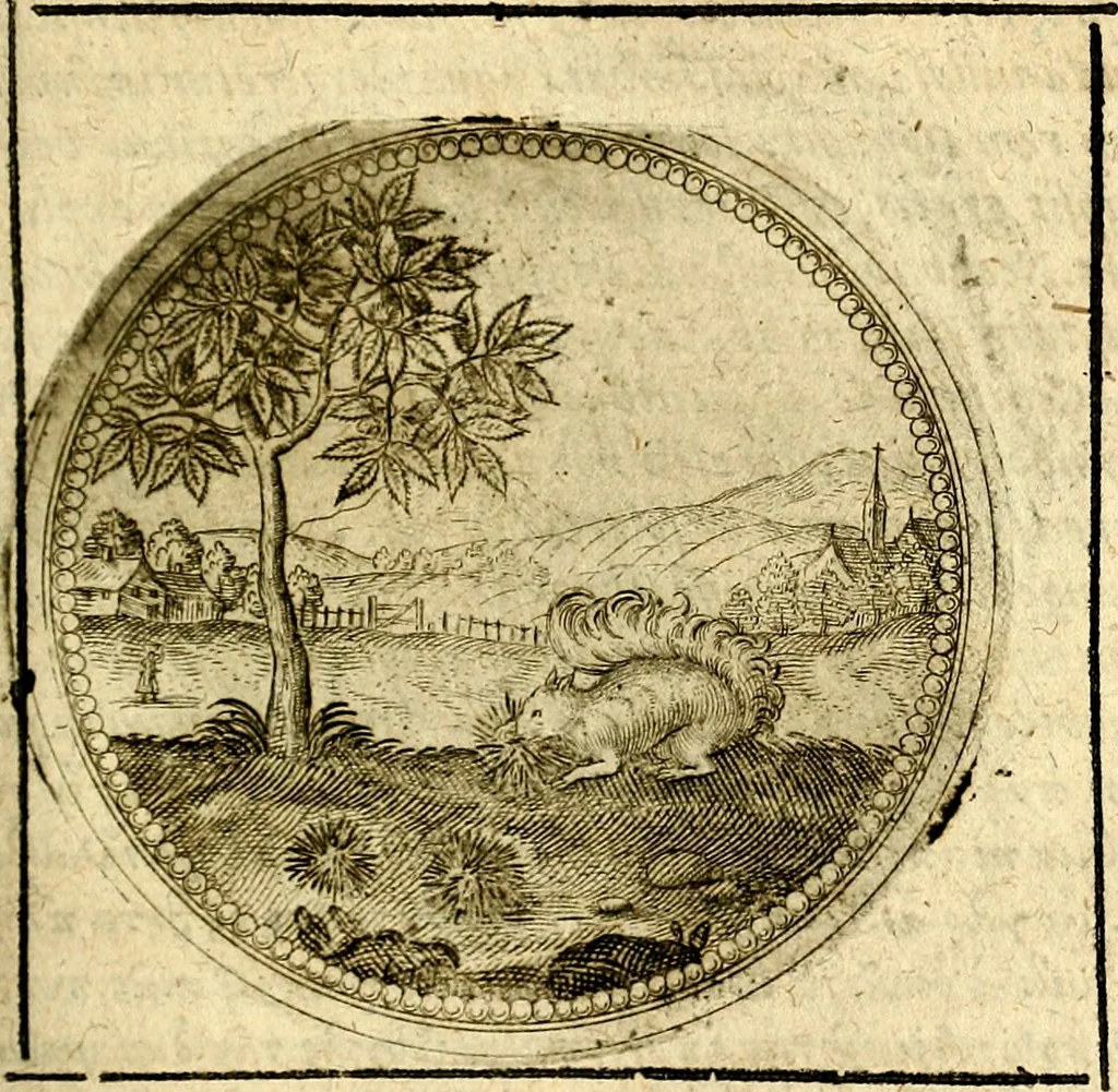 An illustration from Symbolor & emblematum ... centuria una [-quarta], 1661, leaf 380