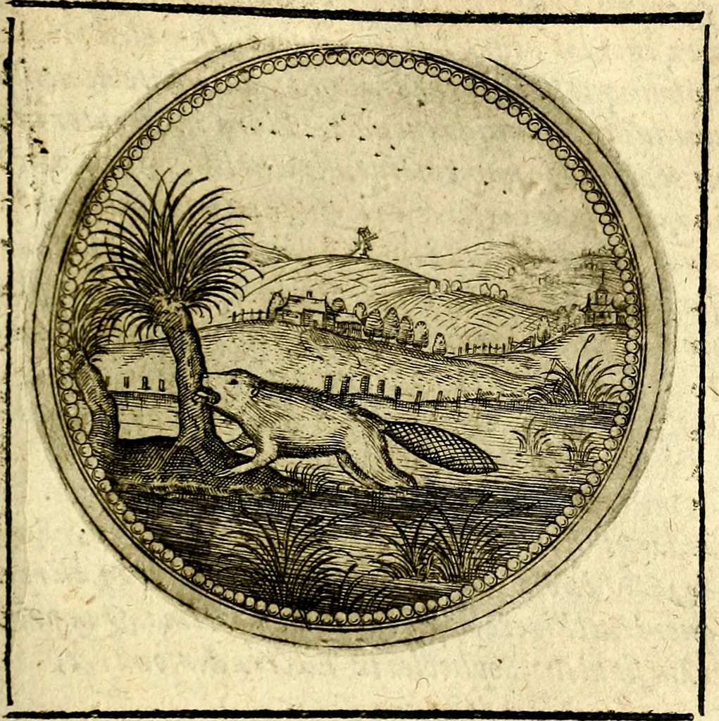 An illustration from Symbolor & emblematum ... centuria una [-quarta], 1661, leaf 398