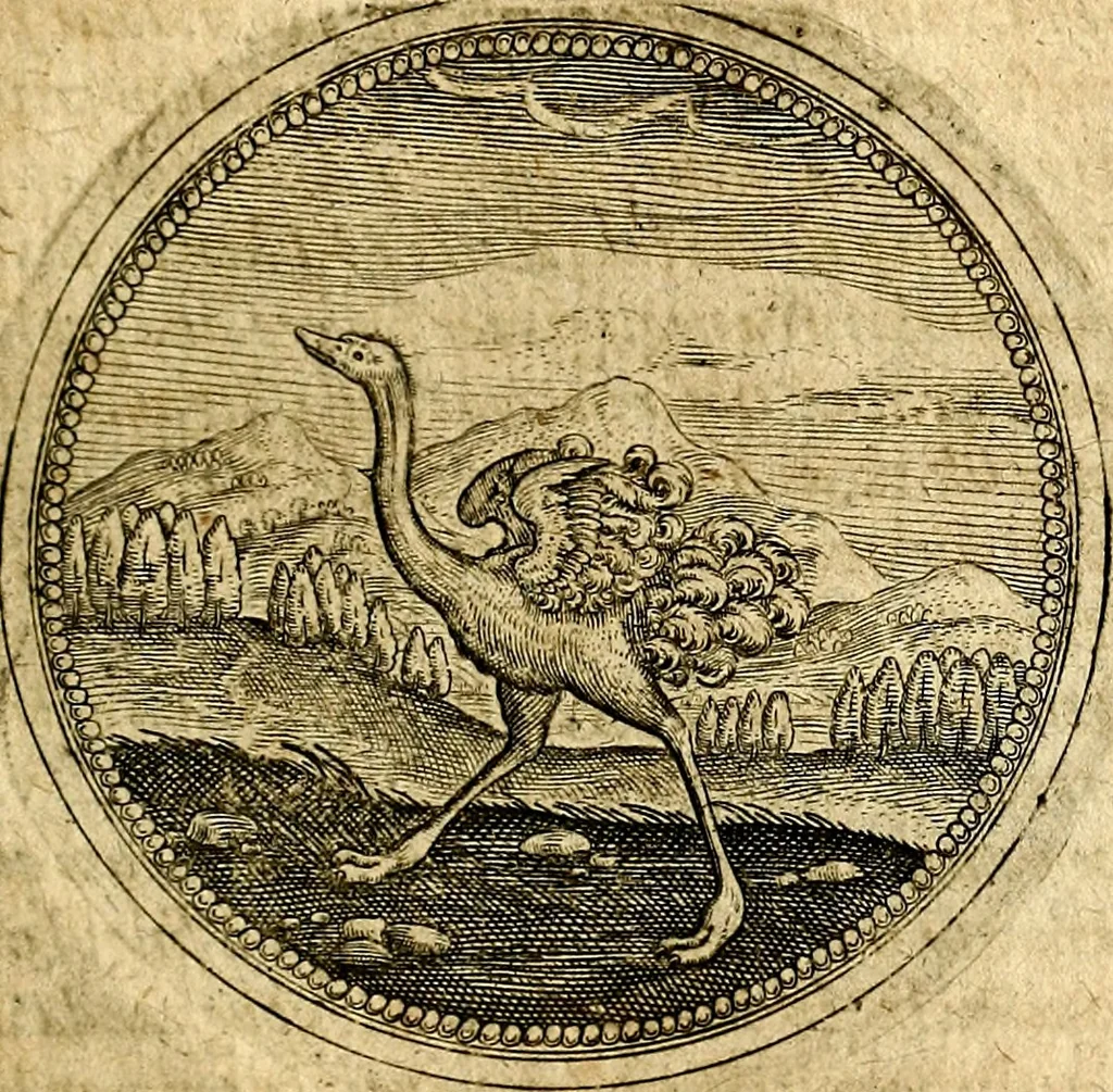 An illustration from Symbolor & emblematum ... centuria una [-quarta], 1661, leaf 448