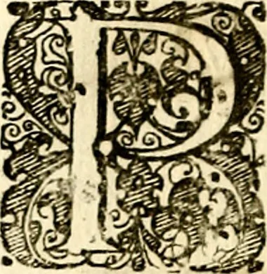 An illustration from Symbolor & emblematum ... centuria una [-quarta], 1661, leaf 45