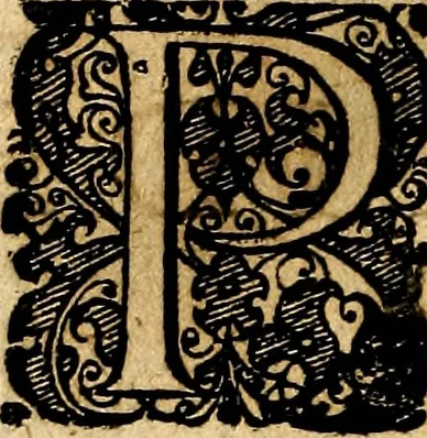 An illustration from Symbolor & emblematum ... centuria una [-quarta], 1661, leaf 487