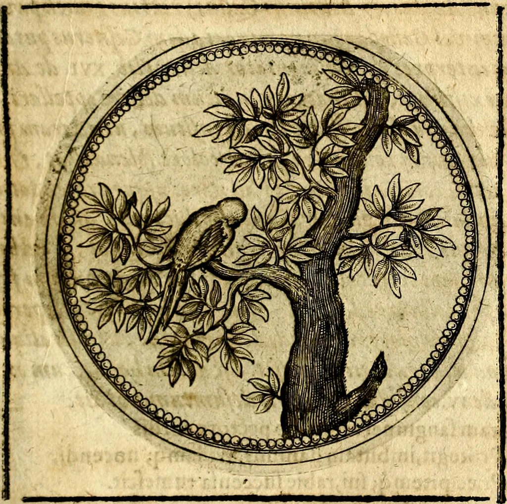 An illustration from Symbolor & emblematum ... centuria una [-quarta], 1661, leaf 506