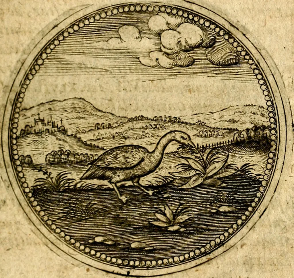 An illustration from Symbolor & emblematum ... centuria una [-quarta], 1661, leaf 510