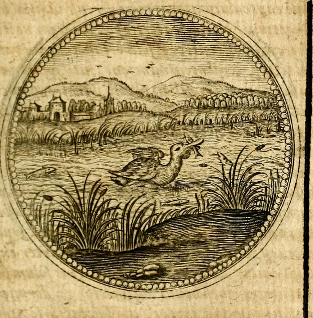 An illustration from Symbolor & emblematum ... centuria una [-quarta], 1661, leaf 512