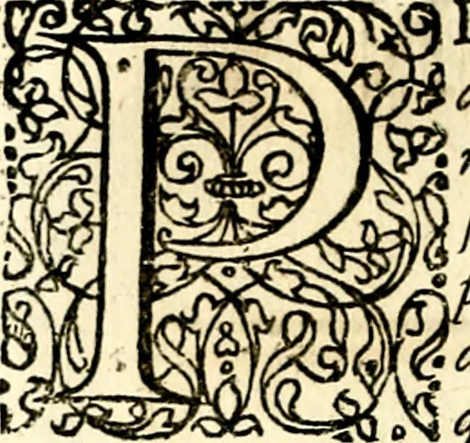 An illustration from Symbolor & emblematum ... centuria una [-quarta], 1661, leaf 53