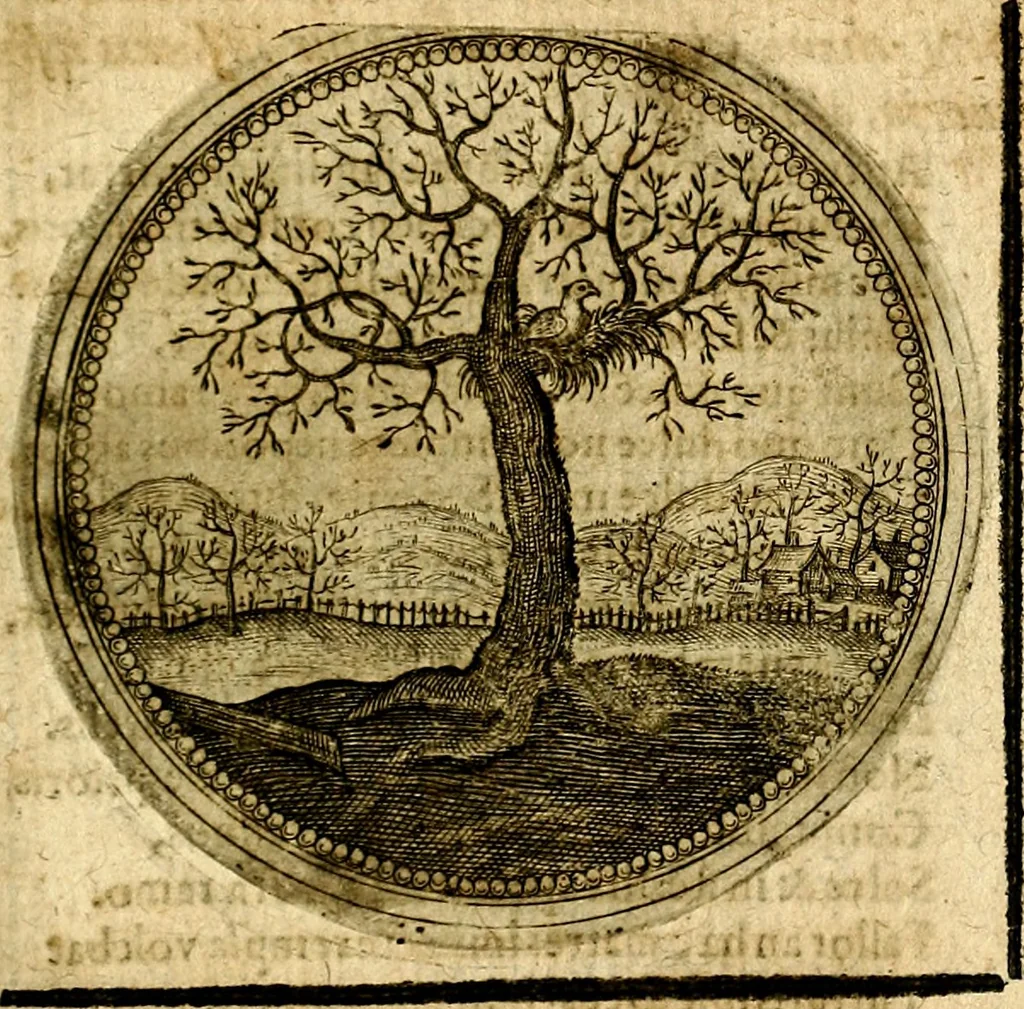 An illustration from Symbolor & emblematum ... centuria una [-quarta], 1661, leaf 538