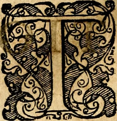 An illustration from Symbolor & emblematum ... centuria una [-quarta], 1661, leaf 541