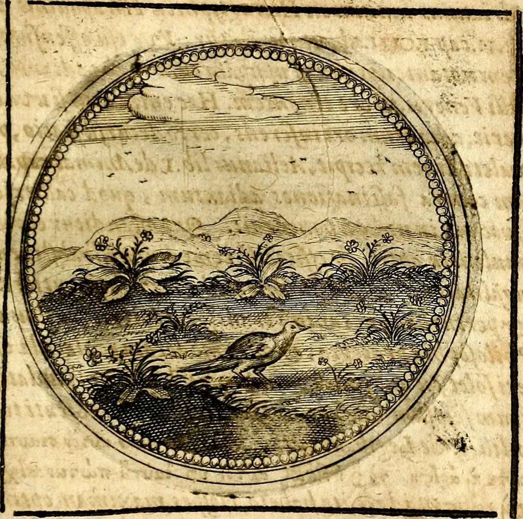 An illustration from Symbolor & emblematum ... centuria una [-quarta], 1661, leaf 556