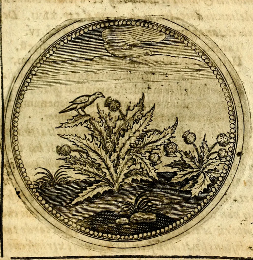 An illustration from Symbolor & emblematum ... centuria una [-quarta], 1661, leaf 564