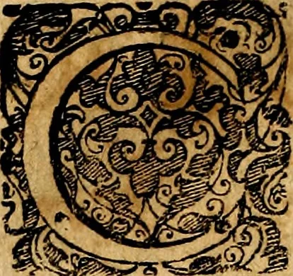 An illustration from Symbolor & emblematum ... centuria una [-quarta], 1661, leaf 589