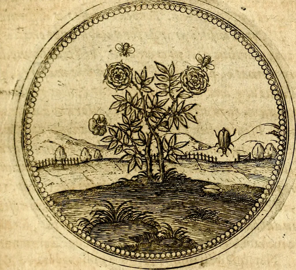 An illustration from Symbolor & emblematum ... centuria una [-quarta], 1661, leaf 598