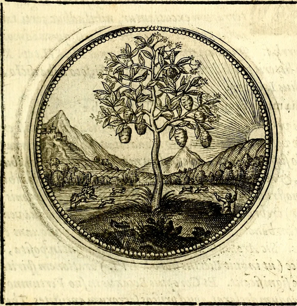 An illustration from Symbolor & emblematum ... centuria una [-quarta], 1661, leaf 60
