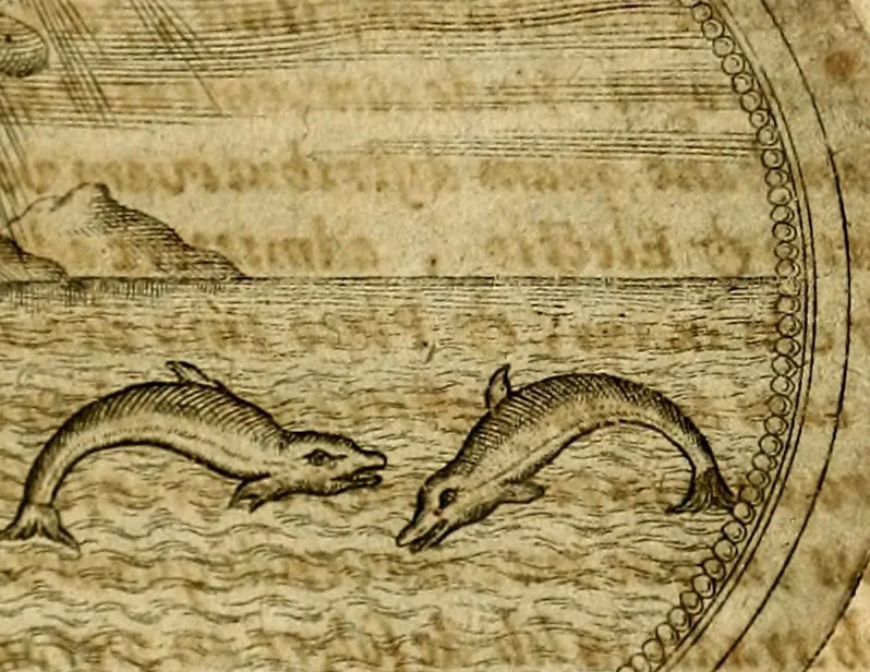 An illustration from Symbolor & emblematum ... centuria una [-quarta], 1661, leaf 638