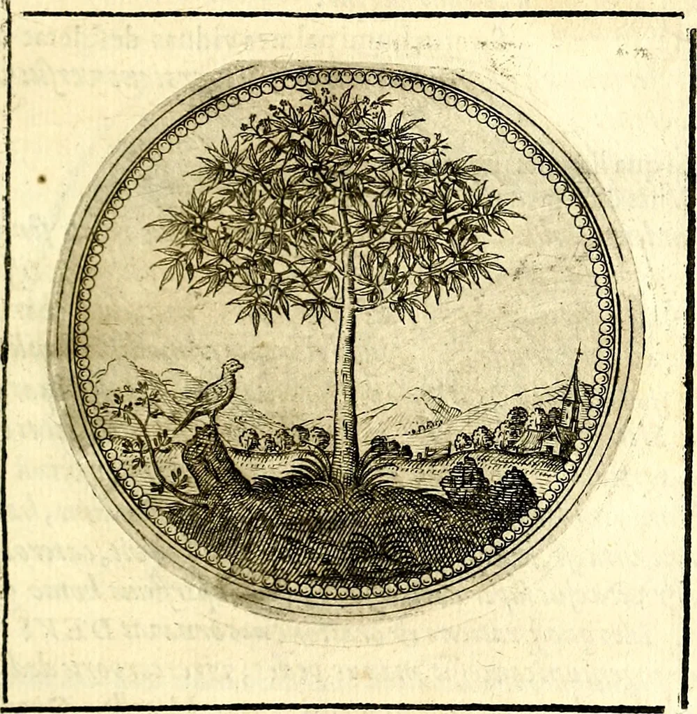 An illustration from Symbolor & emblematum ... centuria una [-quarta], 1661, leaf 64