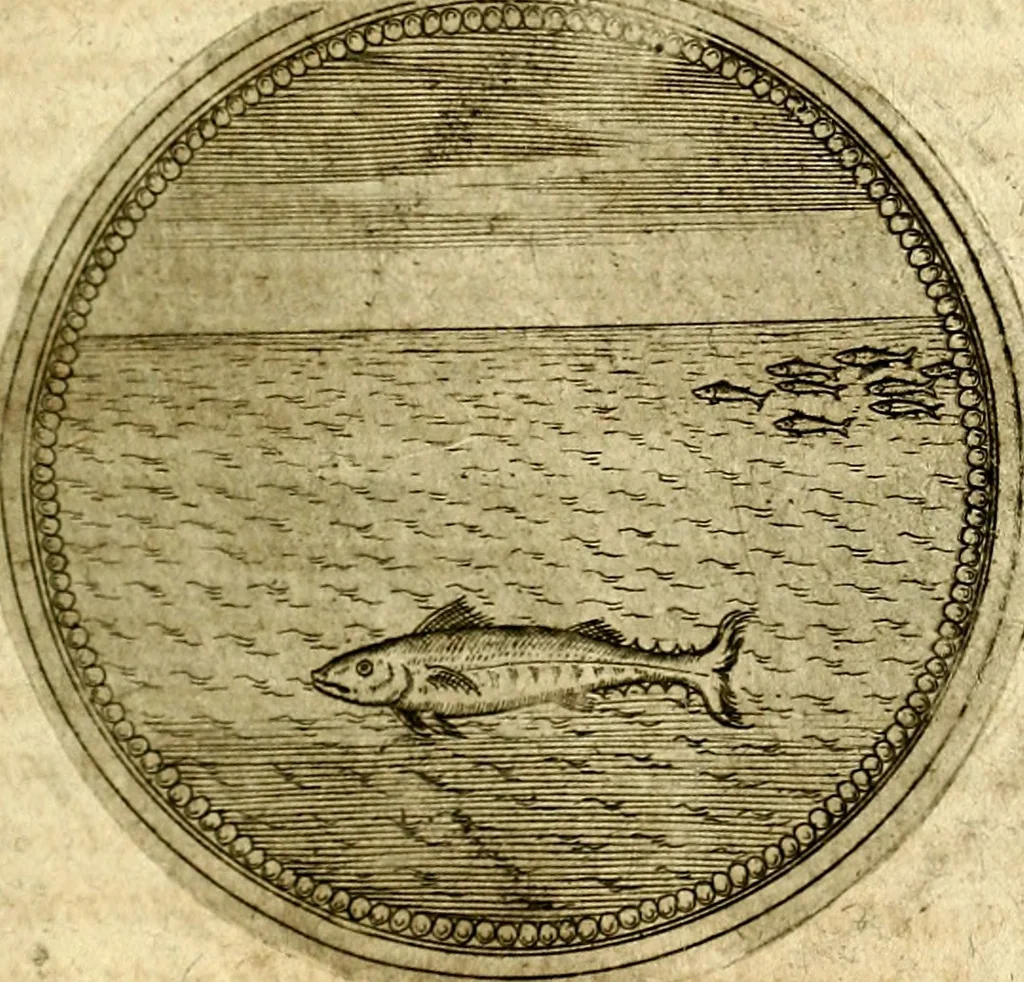 An illustration from Symbolor & emblematum ... centuria una [-quarta], 1661, leaf 654