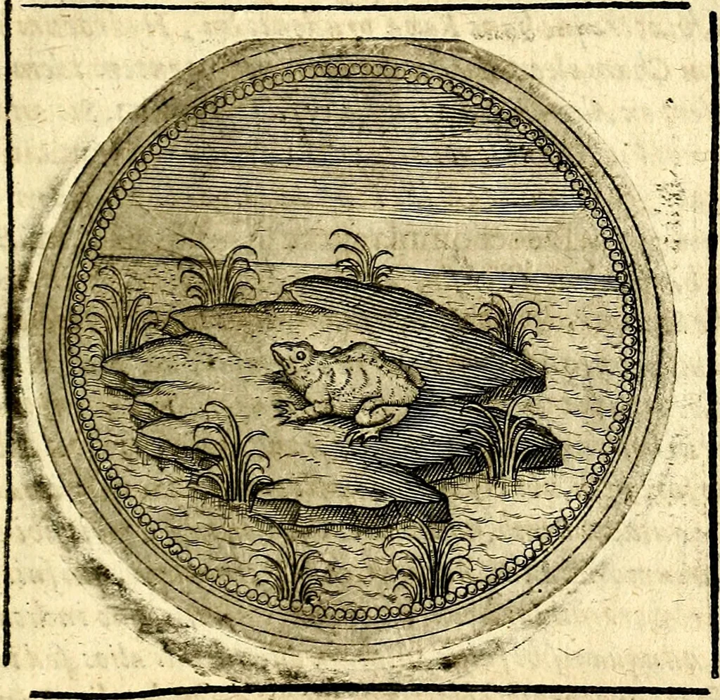 An illustration from Symbolor & emblematum ... centuria una [-quarta], 1661, leaf 766