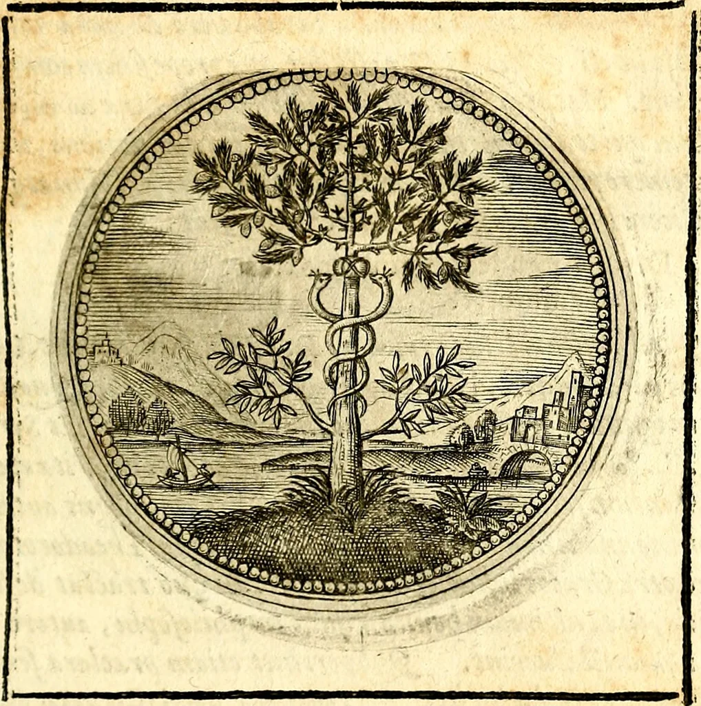 An illustration from Symbolor & emblematum ... centuria una [-quarta], 1661, leaf 78