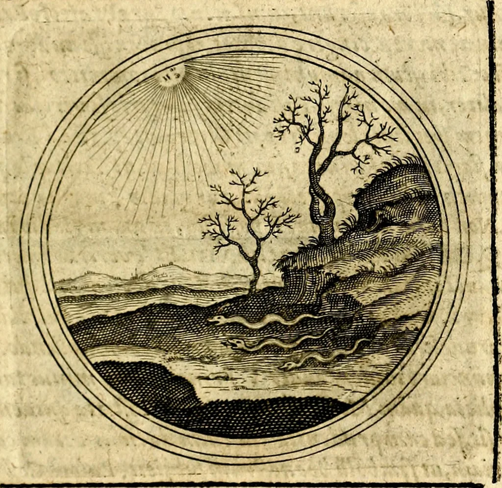 An illustration from Symbolor & emblematum ... centuria una [-quarta], 1661, leaf 798