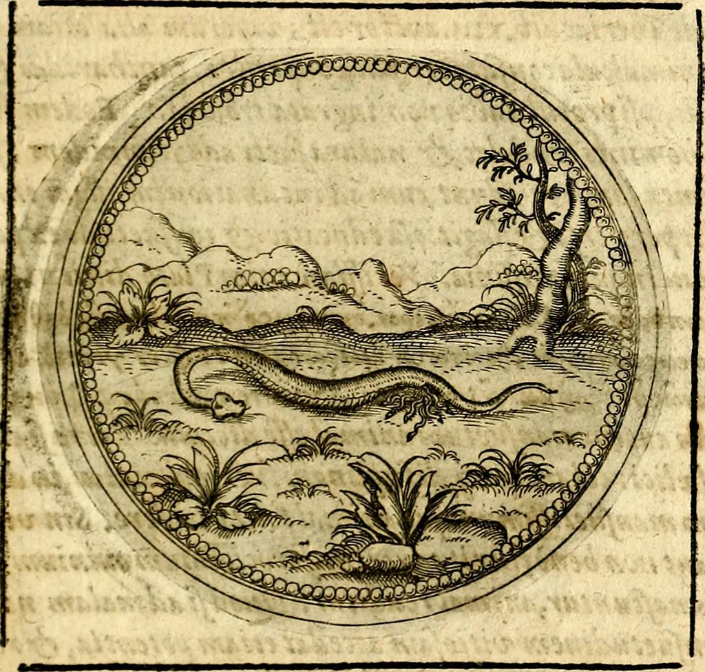 An illustration from Symbolor & emblematum ... centuria una [-quarta], 1661, leaf 806