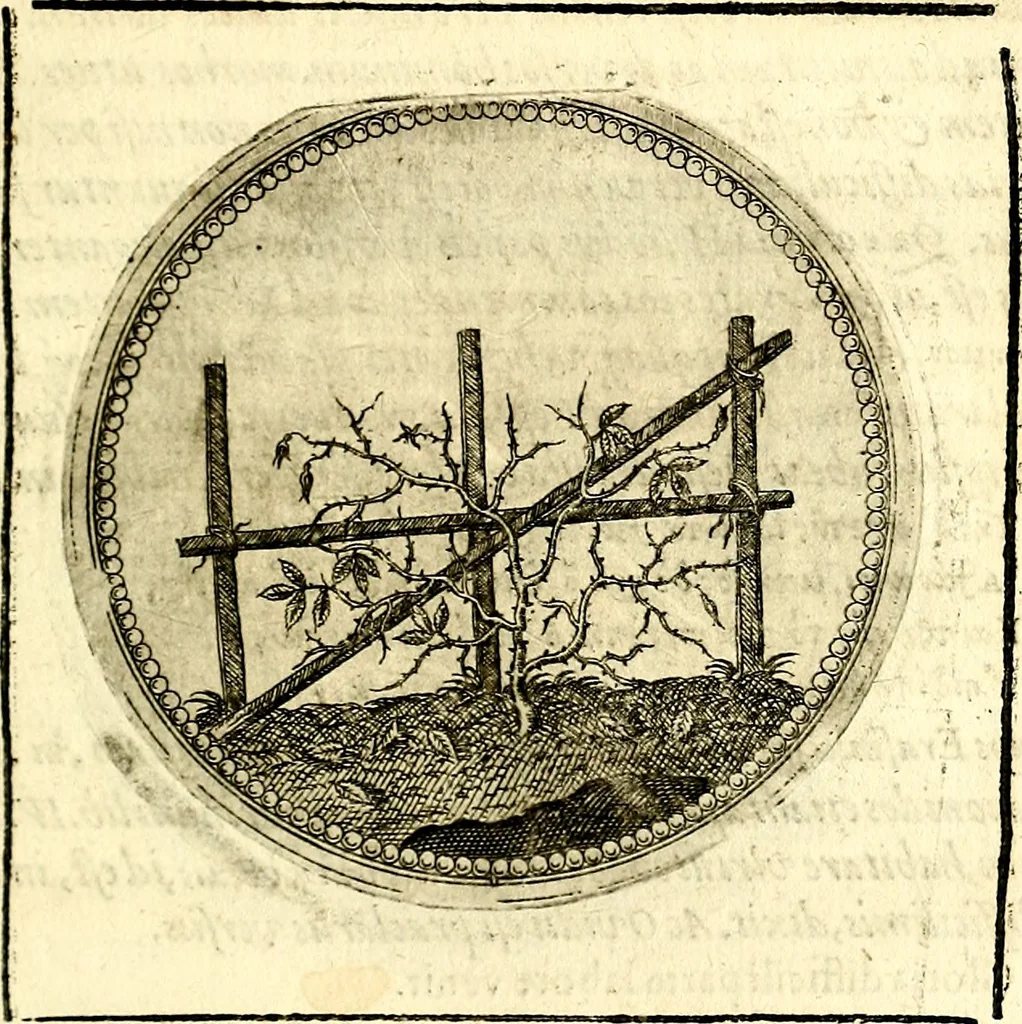 An illustration from Symbolor & emblematum ... centuria una [-quarta], 1661, leaf 86