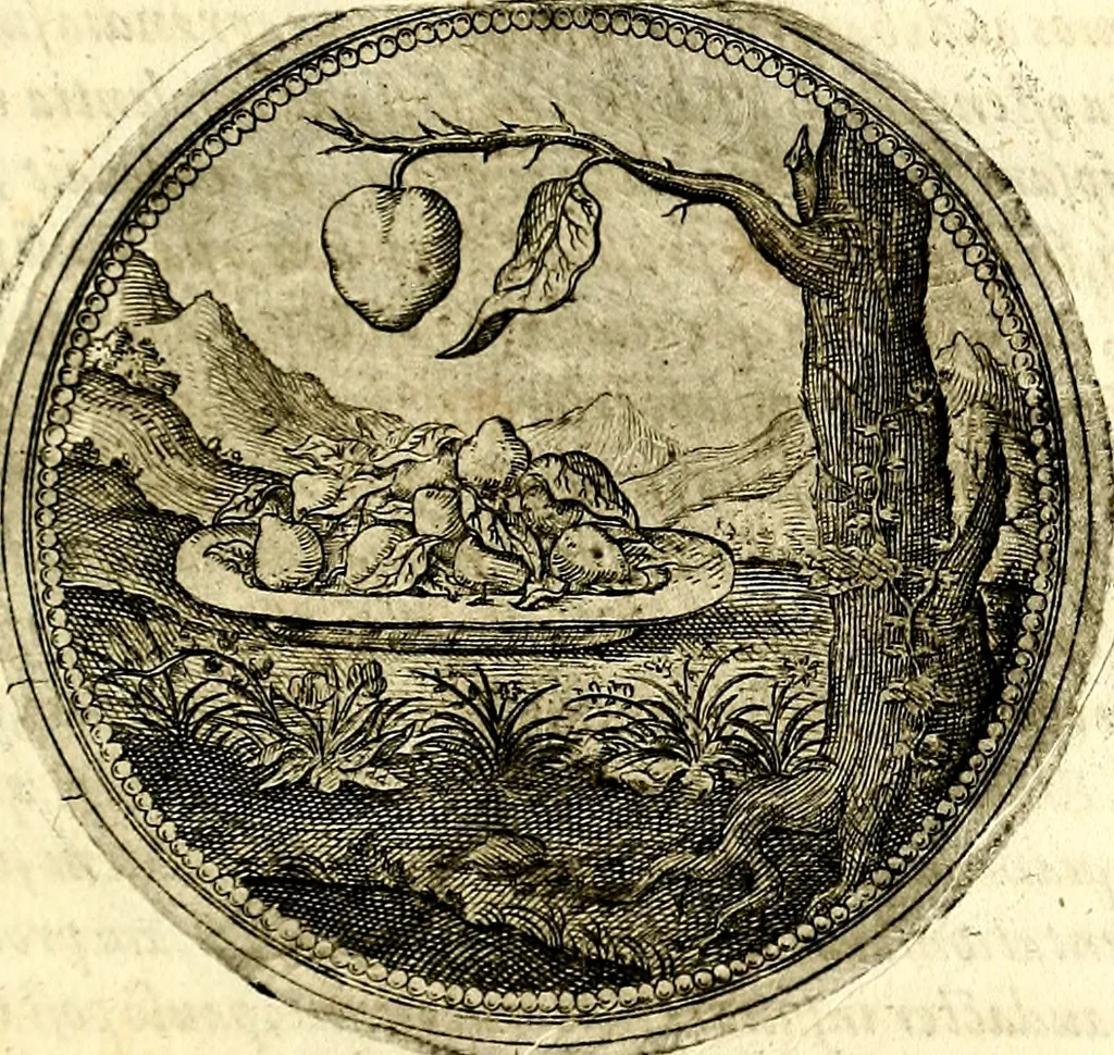 An illustration from Symbolor & emblematum ... centuria una [-quarta], 1661, leaf 90