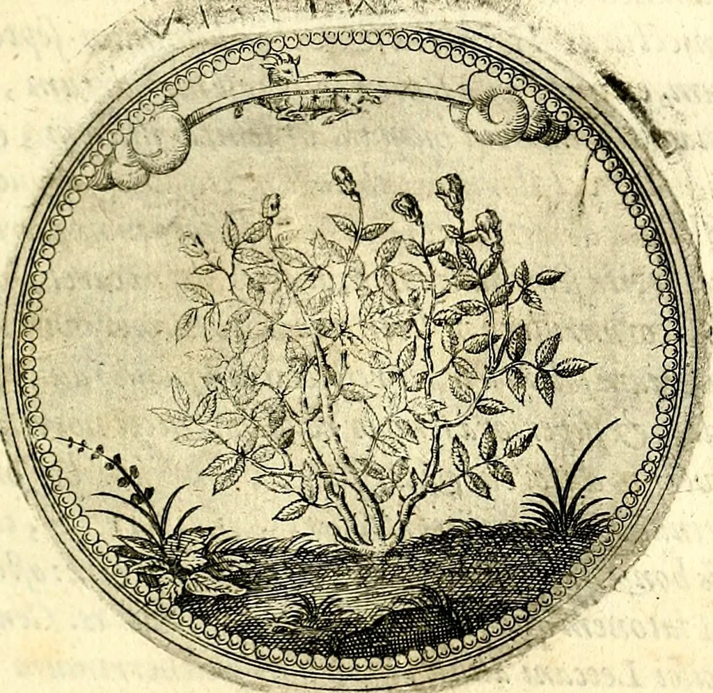 An illustration from Symbolor & emblematum ... centuria una [-quarta], 1661, leaf 98