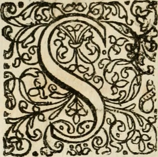 An illustration from Symboloru[m] & emblematum ex re herbaria desumtorum centuria vna[-quarta] collecta, 1654, leaf 101