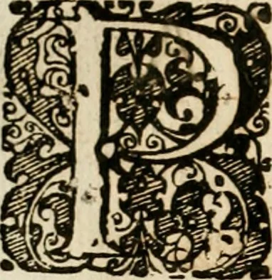 An illustration from Symboloru[m] & emblematum ex re herbaria desumtorum centuria vna[-quarta] collecta, 1654, leaf 111