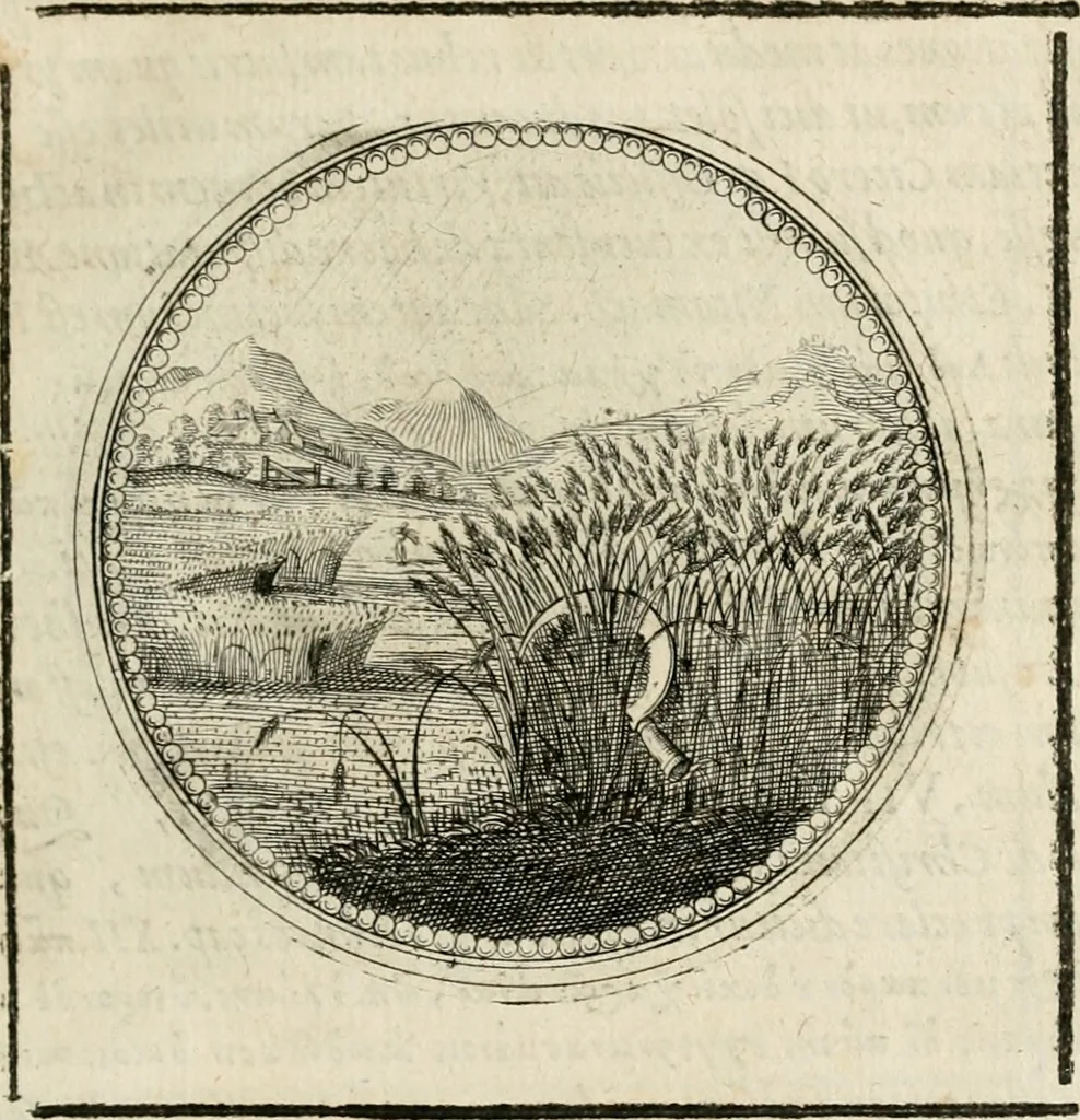 An illustration from Symboloru[m] & emblematum ex re herbaria desumtorum centuria vna[-quarta] collecta, 1654, leaf 118