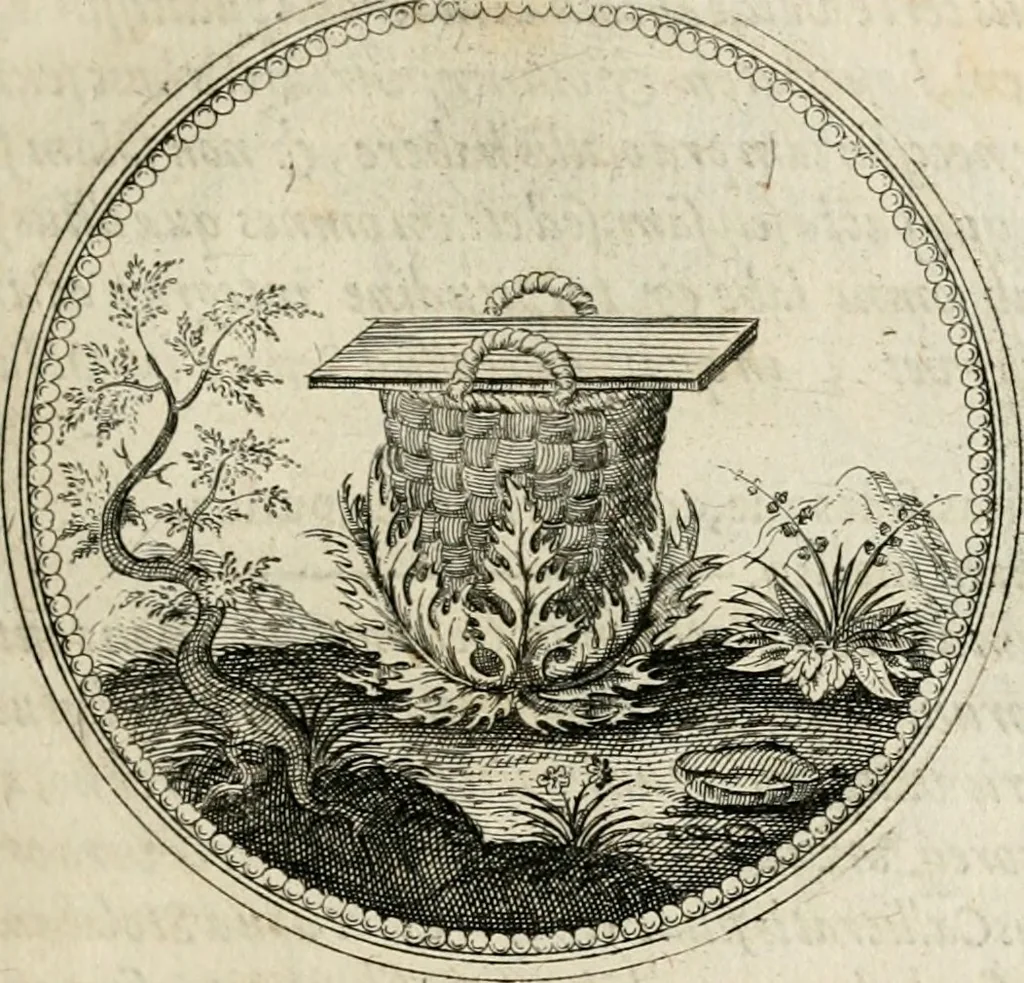 An illustration from Symboloru[m] & emblematum ex re herbaria desumtorum centuria vna[-quarta] collecta, 1654, leaf 122