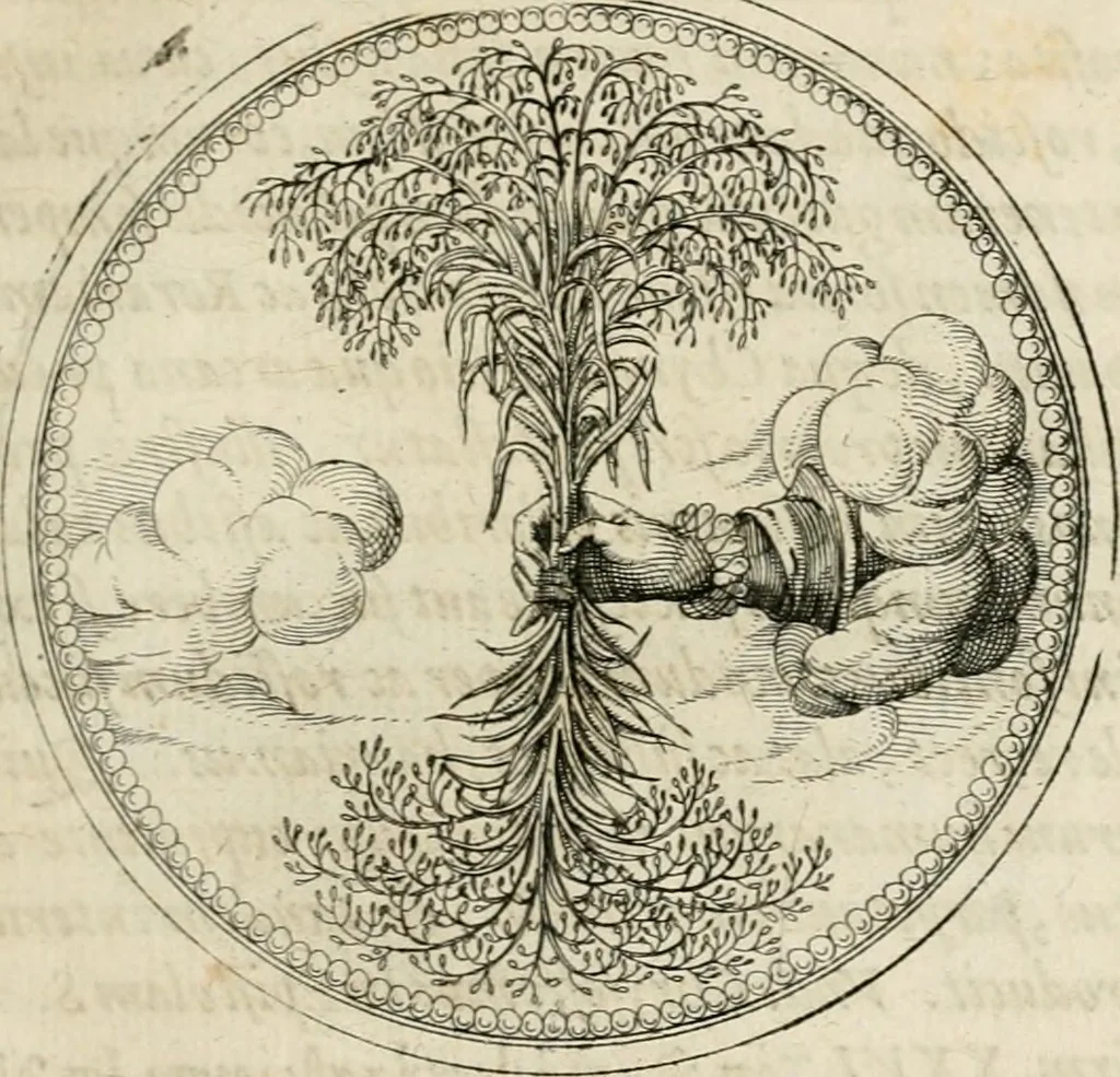 An illustration from Symboloru[m] & emblematum ex re herbaria desumtorum centuria vna[-quarta] collecta, 1654, leaf 124
