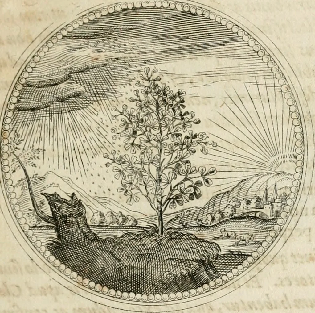 An illustration from Symboloru[m] & emblematum ex re herbaria desumtorum centuria vna[-quarta] collecta, 1654, leaf 138