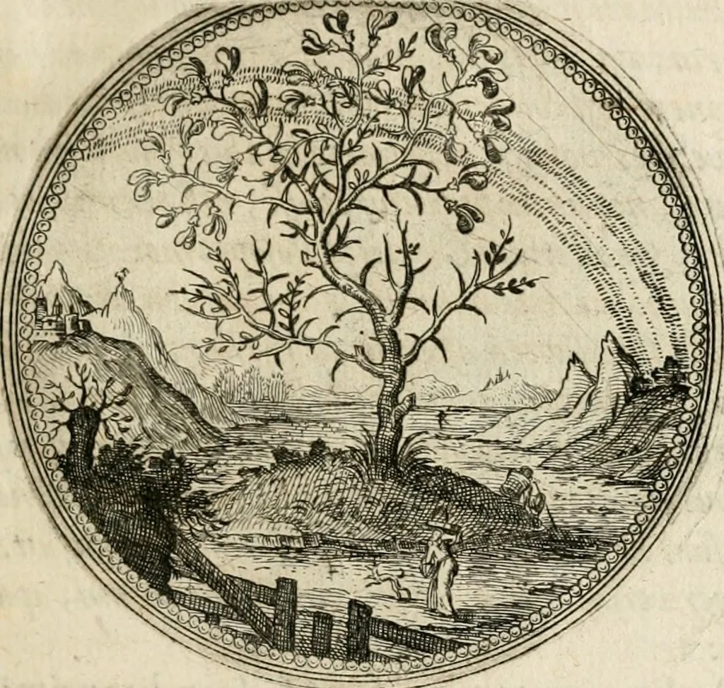 An illustration from Symboloru[m] & emblematum ex re herbaria desumtorum centuria vna[-quarta] collecta, 1654, leaf 14
