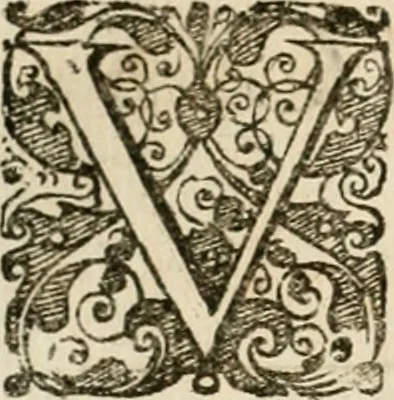 An illustration from Symboloru[m] & emblematum ex re herbaria desumtorum centuria vna[-quarta] collecta, 1654, leaf 147