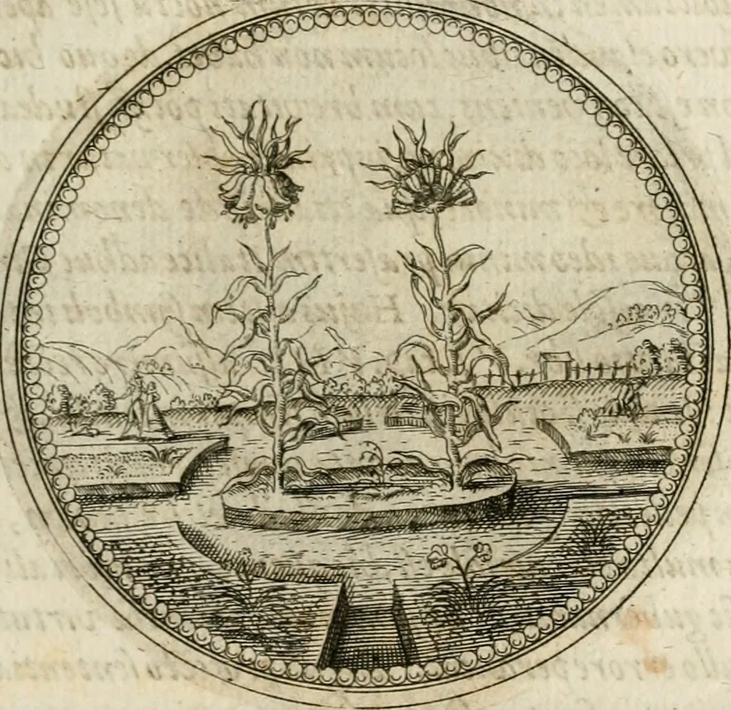 An illustration from Symboloru[m] & emblematum ex re herbaria desumtorum centuria vna[-quarta] collecta, 1654, leaf 148