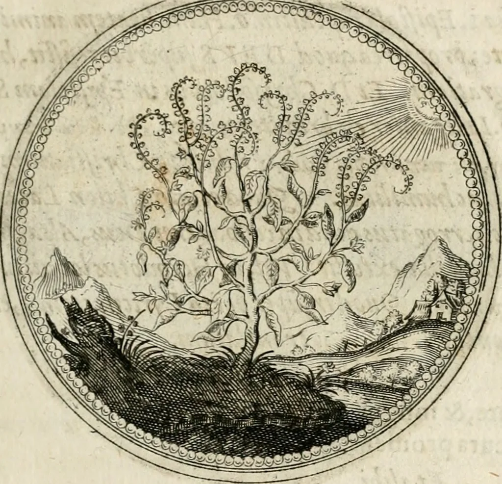 An illustration from Symboloru[m] & emblematum ex re herbaria desumtorum centuria vna[-quarta] collecta, 1654, leaf 150