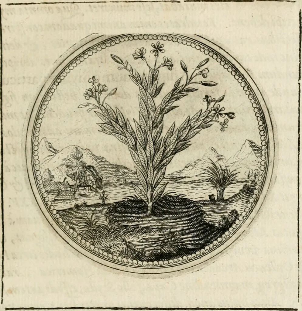 An illustration from Symboloru[m] & emblematum ex re herbaria desumtorum centuria vna[-quarta] collecta, 1654, leaf 164