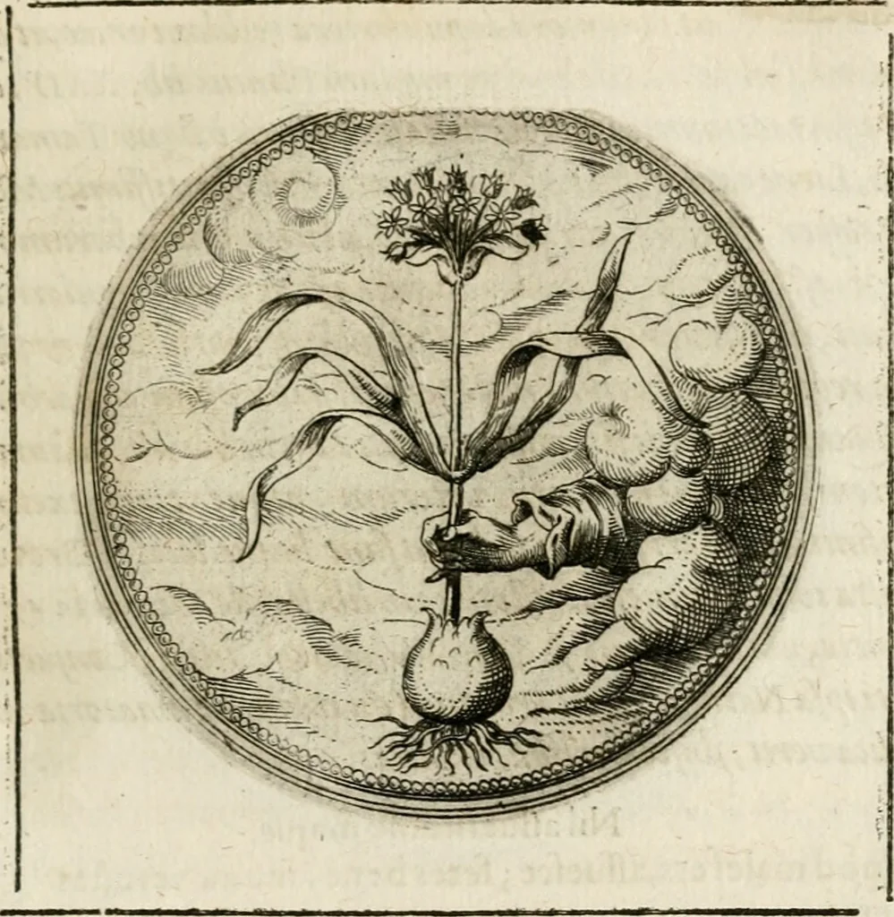 An illustration from Symboloru[m] & emblematum ex re herbaria desumtorum centuria vna[-quarta] collecta, 1654, leaf 166