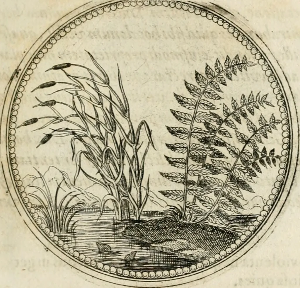 An illustration from Symboloru[m] & emblematum ex re herbaria desumtorum centuria vna[-quarta] collecta, 1654, leaf 170