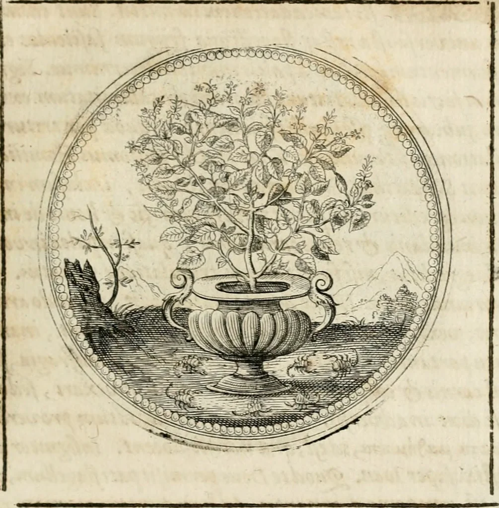 An illustration from Symboloru[m] & emblematum ex re herbaria desumtorum centuria vna[-quarta] collecta, 1654, leaf 172