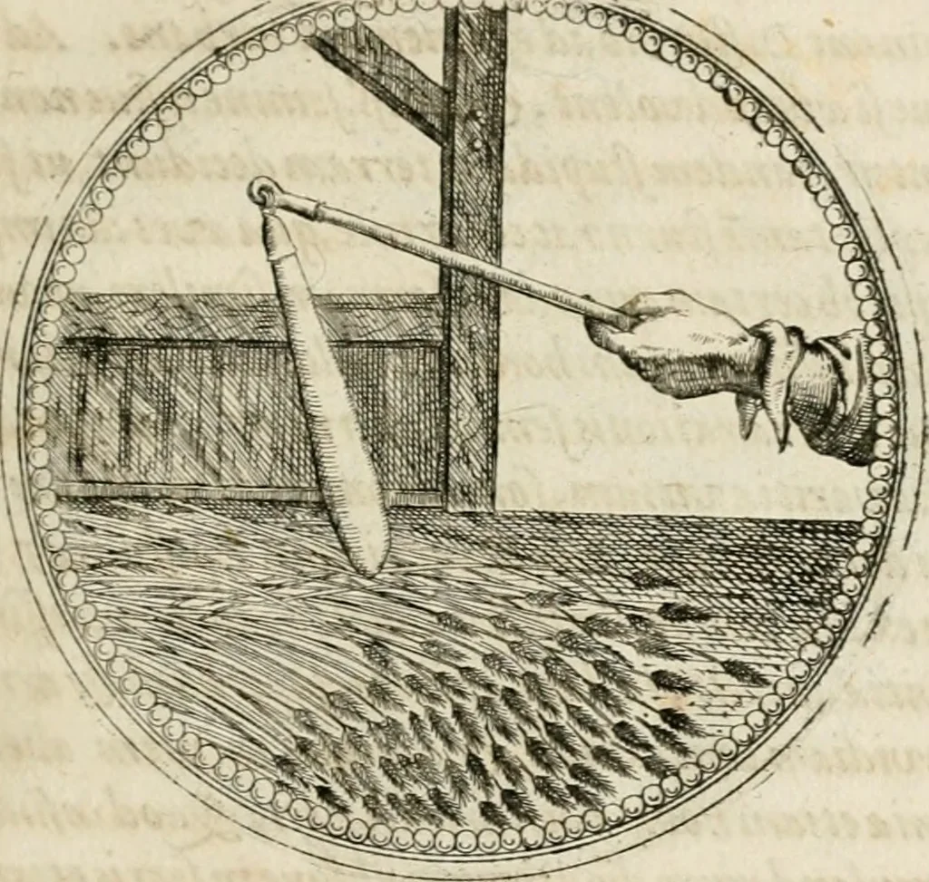 An illustration from Symboloru[m] & emblematum ex re herbaria desumtorum centuria vna[-quarta] collecta, 1654, leaf 174
